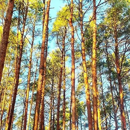 Dg-apartment Happy Ocean Nur Zwei Minuten Zum Apartament Pobierowo